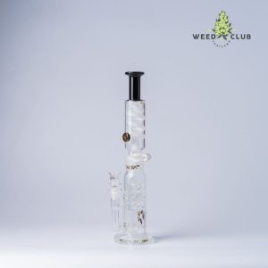 บ้องแก้ว Phoenix Star 14 Inch  Percolator Bong with Honey Comb Jet Perc and Glycerine Coil