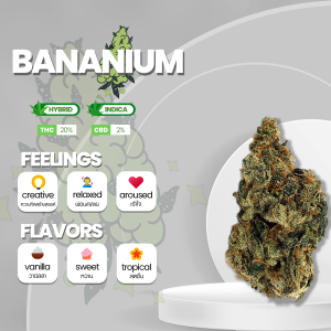 Ah, the legendary bananium strain, whispered among cannabis enthusiasts as the ultimate fruit-infused delight. Imagine buds so sublime, they radiate a golden aura, reminiscent of the rarest of bananas. Trichomes sparkle like stardust, bathing the buds in a shimmering glow. Aromas of sweet bananas and tropical goodness fill the air, teasing your senses with every whiff. Brace yourself for a mind-bending experience as the bananium strain takes you on a journey of euphoria and imagination. Indulge in the forbidden fruit and unlock the secrets of this mythical strain. Remember, my friend, this strain exists only in the realms of imagination and the dreams of daring connoisseurs.