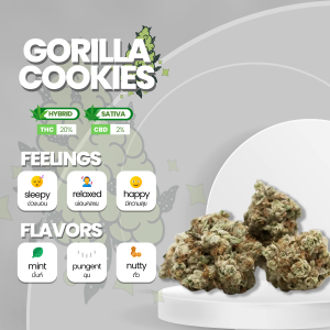 Gorilla Cookies strain, displaying dense, trichome-covered buds with deep shades of green and hints of purple. The buds are adorned with fiery orange pistils, creating a visually appealing contrast. The strain emanates a sweet and earthy aroma with undertones of chocolate. Gorilla Cookies is known for its potent effects, combining relaxation and euphoria, making it a popular choice among cannabis enthusiasts seeking a balanced experience