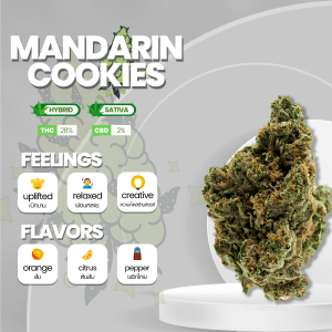 Image of the Mandarin Cookies strain, showcasing dense, trichome-covered buds with vibrant shades of green and hints of orange. The buds are accentuated by fiery orange pistils, creating a visually striking appearance. The strain emits a sweet and citrusy aroma with notes of mandarin. Mandarin Cookies is known for its balanced effects, offering a combination of relaxation and mental clarity, making it a popular choice among cannabis enthusiasts