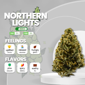 Image of the Northern Lights strain, showcasing compact, resinous buds with deep shades of green and hints of purple. The buds are complemented by fiery orange pistils, adding a vibrant contrast. The strain emits a sweet and earthy aroma with notes of pine. Northern Lights is known for its relaxing and sedating effects, making it a popular choice among cannabis enthusiasts seeking tranquility and stress relief