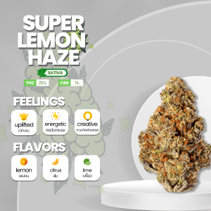 Image of the Super Lemon Haze strain, featuring dense, trichome-covered buds with vibrant shades of green and hints of yellow. The buds are adorned with fiery orange pistils, creating a visually appealing contrast. The strain emits a zesty and citrusy aroma with hints of lemon. Super Lemon Haze is known for its uplifting and energetic effects, making it a popular choice for those seeking a vibrant and invigorating cannabis experience."