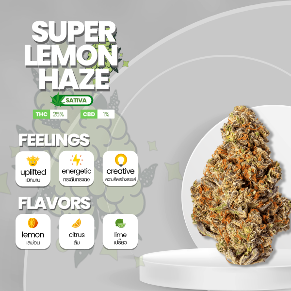 Image of the Super Lemon Haze strain, featuring dense, trichome-covered buds with vibrant shades of green and hints of yellow. The buds are adorned with fiery orange pistils, creating a visually appealing contrast. The strain emits a zesty and citrusy aroma with hints of lemon. Super Lemon Haze is known for its uplifting and energetic effects, making it a popular choice for those seeking a vibrant and invigorating cannabis experience."