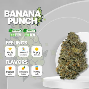 Prepare to be dazzled by the mesmerizing beauty of the banana punch strain! Marvel at the luscious, resinous buds adorned with a vibrant tapestry of greens. Like a winter wonderland, the buds are kissed by a blanket of glistening trichomes, offering a promise of potency. Close your eyes and inhale the tantalizing aroma of tropical bliss, as sweet banana notes intertwine with bursts of zesty citrus. Brace yourself for an electrifying journey, where euphoria meets tranquility, inviting you to surrender to the magic of the banana punch strain.