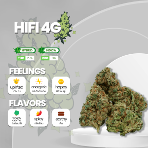 the Hifi 4G strain, showcasing dense, frosty buds with vibrant shades of green and orange pistils. The buds are covered in a thick layer of trichomes, giving them a sparkling appearance. The strain emits a pungent aroma with hints of earthiness, citrus, and diesel fuel. Hifi 4G is known for its potent effects, delivering a combination of relaxation and cerebral stimulation, making it a popular choice for both recreational and medicinal users