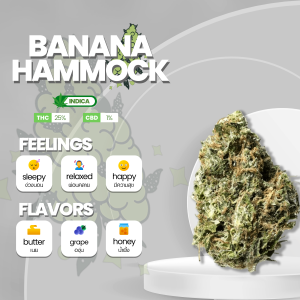Behold the mesmerizing beauty of the banana hammock strain! Imagine thick, resinous buds wrapped in a kaleidoscope of lush green hues, adorned with fiery orange pistils. The trichomes, like a shimmering coat of crystals, whisper tales of pure potency. Close your eyes and breathe in the intoxicating scent of tropical paradise, as hints of ripe bananas and earthy undertones dance through the air. Brace yourself for an indulgent journey, where body and mind intertwine, surrendering to blissful relaxation and euphoria. Let the banana hammock strain be your escape to a world of ultimate satisfaction.
