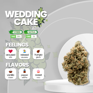 Wedding Cake strain, showcasing dense, trichome-covered buds with shades of green and hints of purple. The buds are adorned with vibrant orange pistils, adding a striking visual contrast. The strain emits a sweet and earthy aroma with notes of vanilla. Wedding Cake is known for its relaxing and euphoric effects, making it a popular choice among cannabis enthusiasts seeking a blissful and uplifting experience."